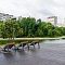Парк рядом с Большим Очаковским прудом, Москва, 2020 г.
