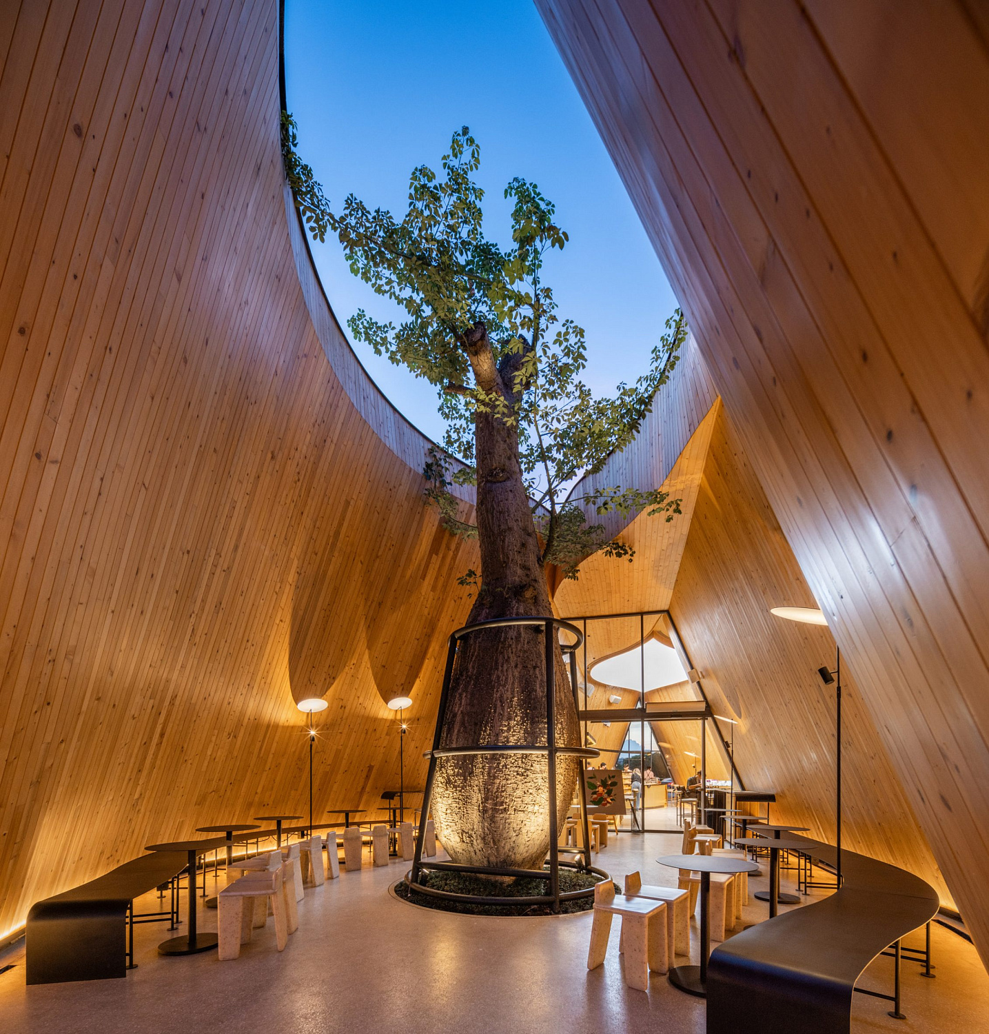 Дерево баобаб растёт в изогнутом кафе в Таиланде от IDIN Architects